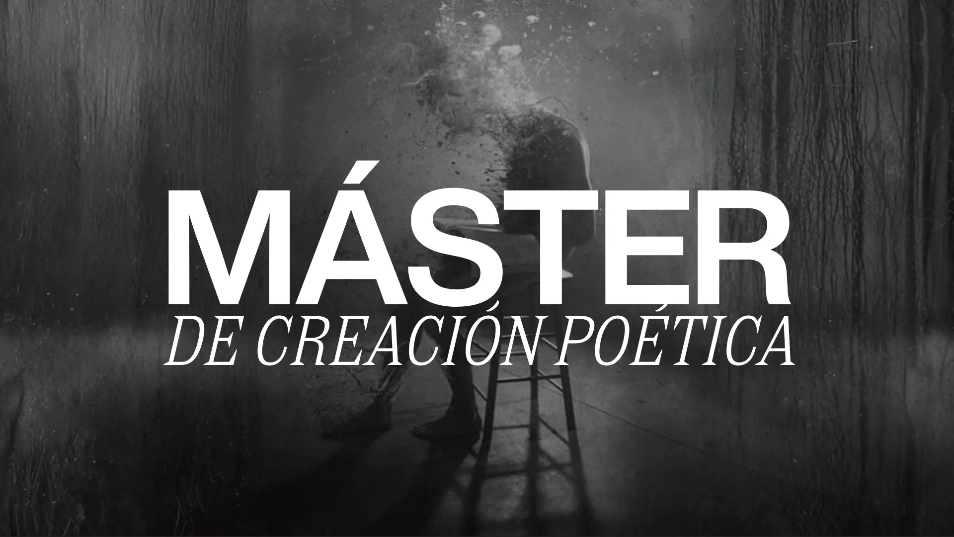 Máster I de creación poética