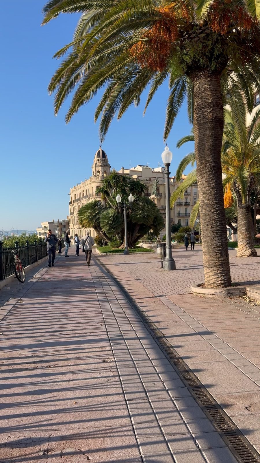 Paseo con palmeras junto al Balcó del Mediterrani